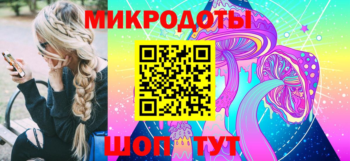 Сосновый Бор  Галлюциногенные грибы Cubensis  Вход с VPN 